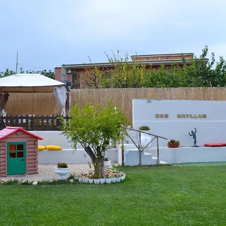 Bed and breakfast Gryllus