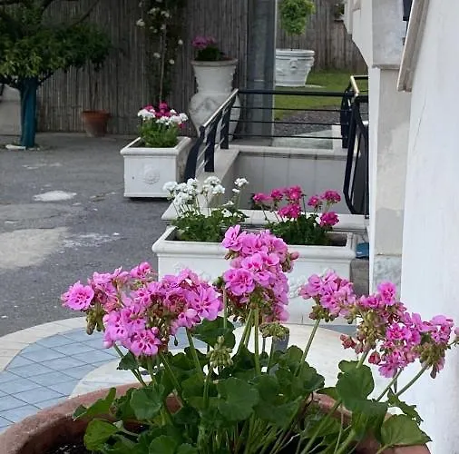 Gryllus 3* Помпеї