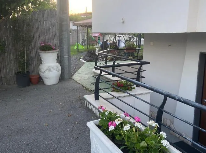 Gryllus Готель типу 